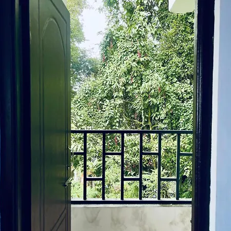 Forest Lodge - 80 Mts From Mall Road Darjeeling  Exterior photo