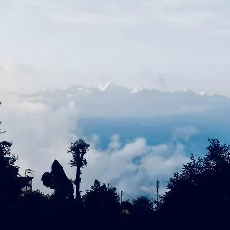 Forest Lodge - 80 Mts From Mall Road Darjeeling  Exterior photo