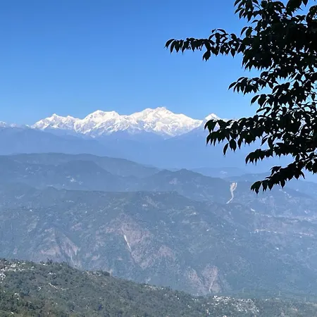 Forest Lodge - 80 Mts From Mall Road Darjeeling  Exterior photo